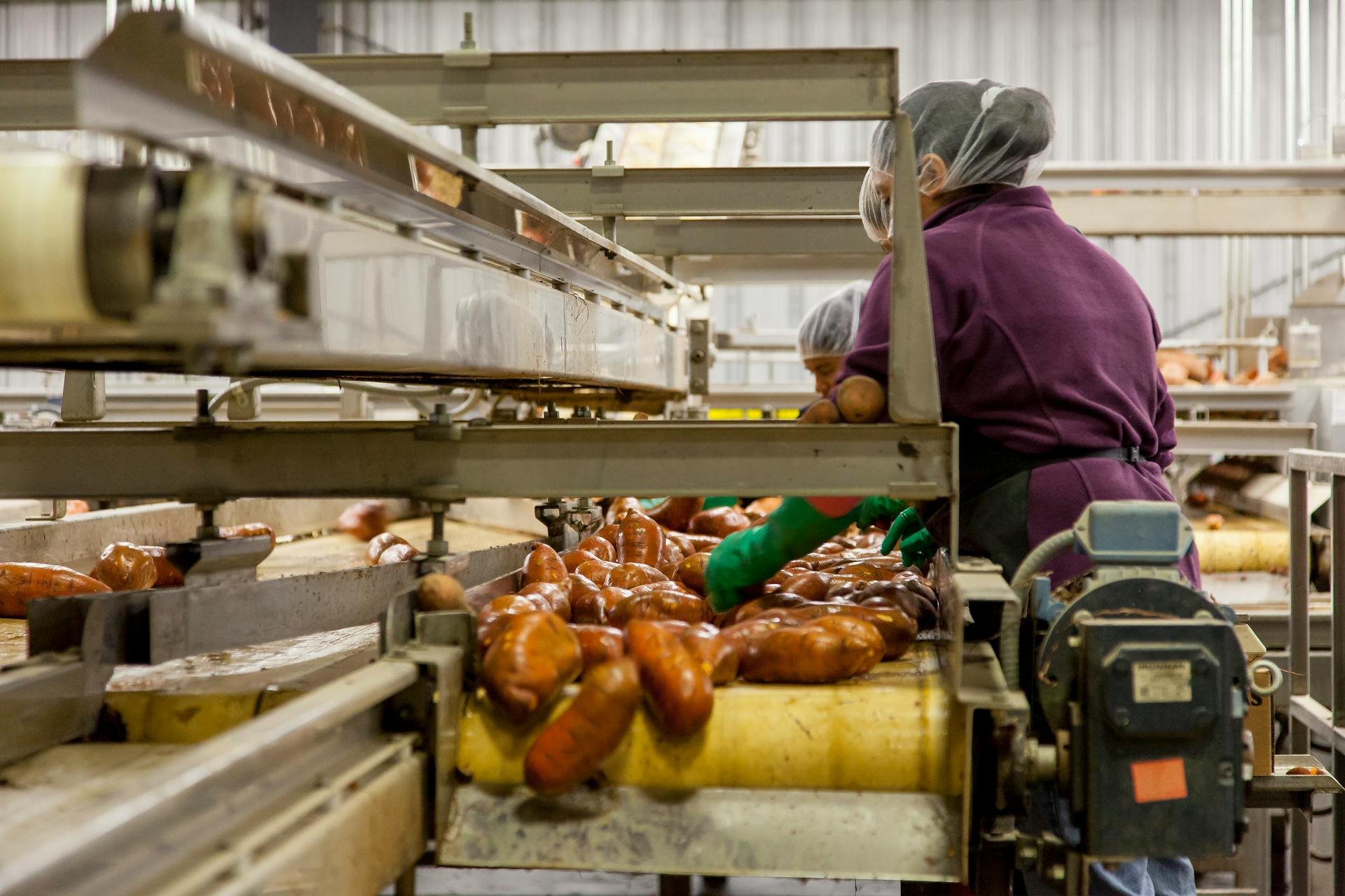 Fresh Produce Packing and Sales Company