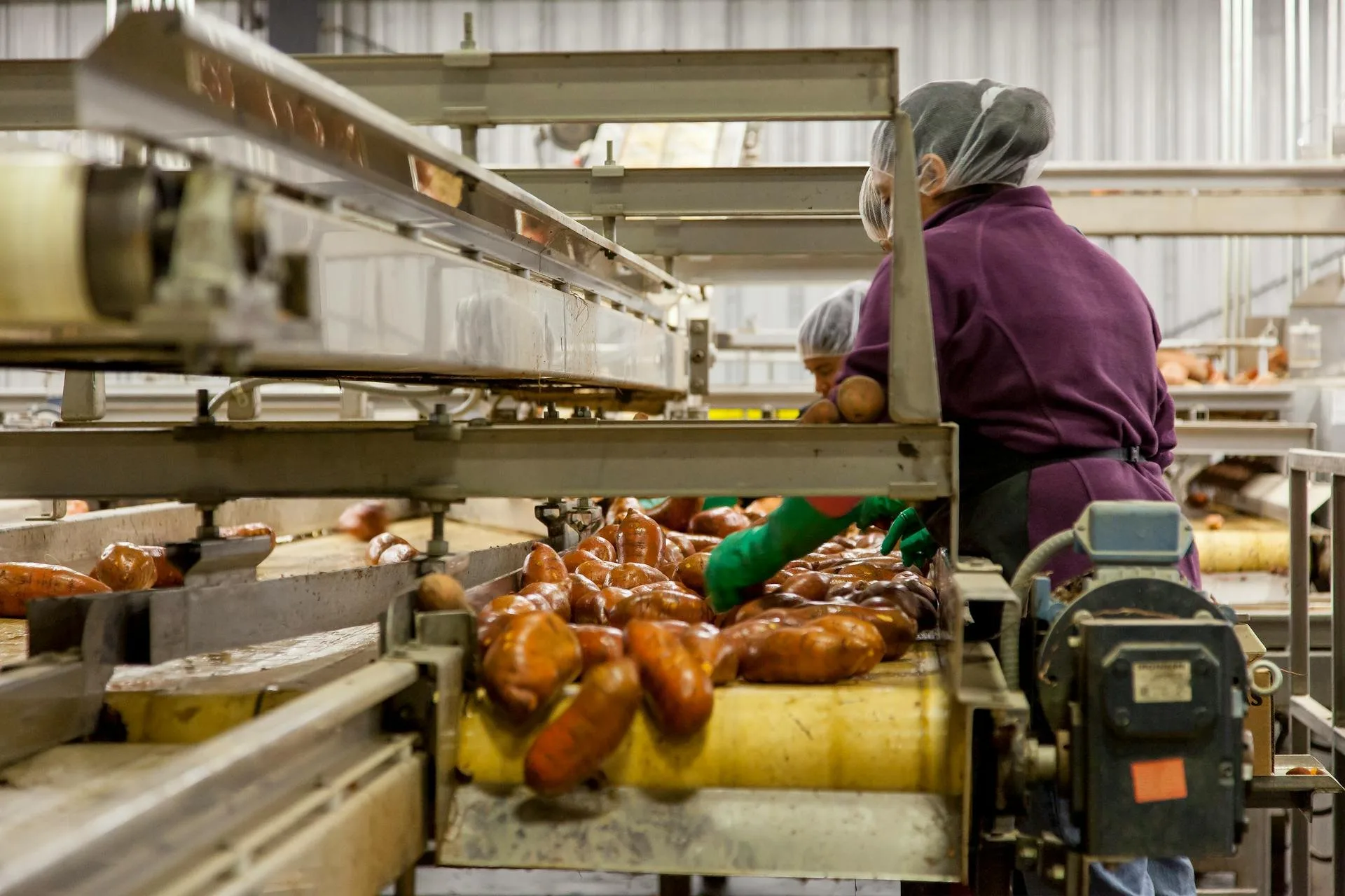 Fresh Produce Packing and Sales Company